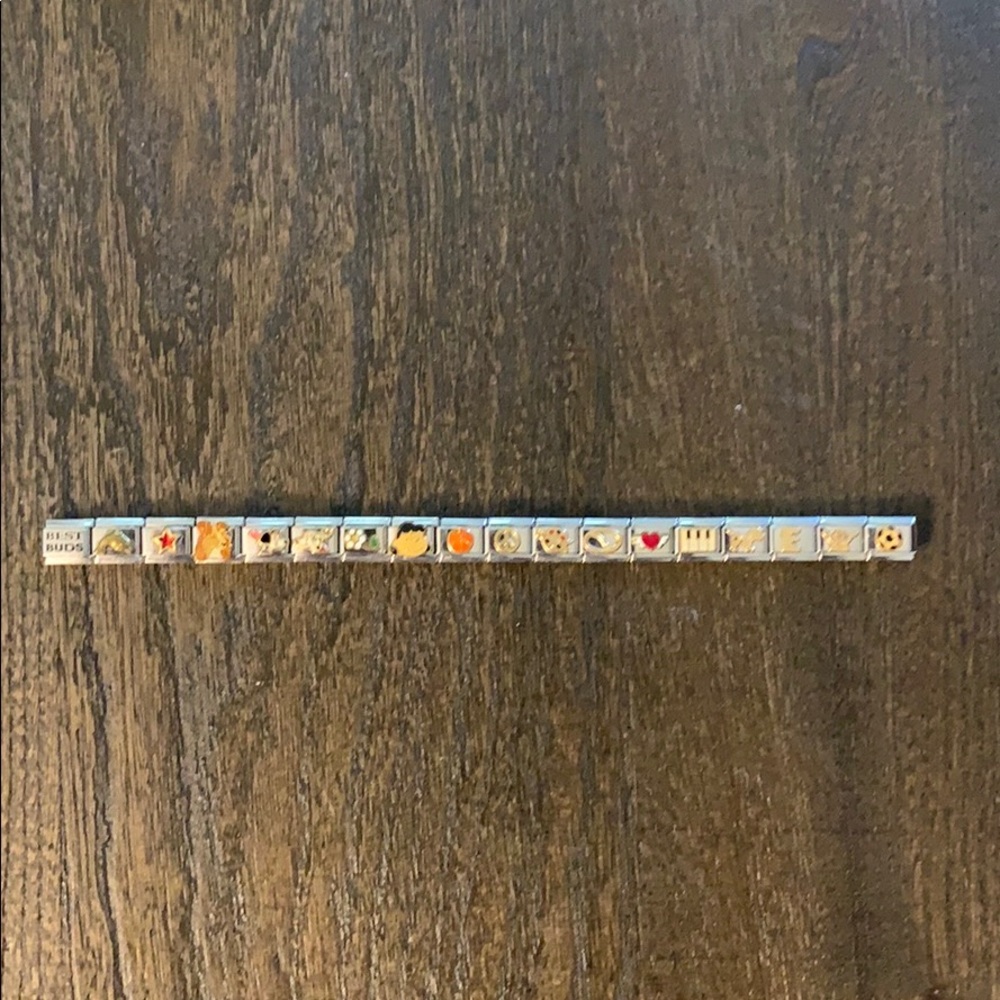 Nomination Bracelet and Charms